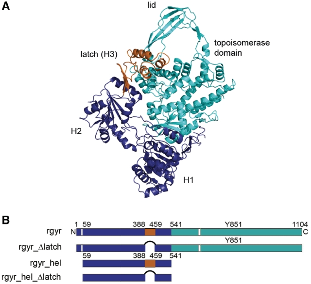 Figure 1.