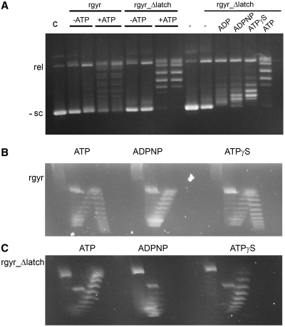 Figure 6.