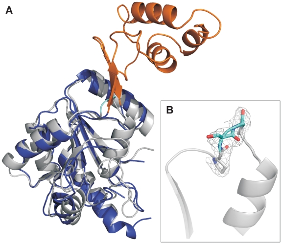 Figure 2.