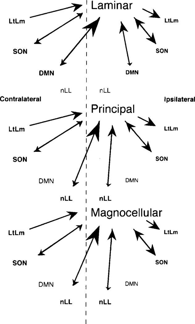 Fig. 10