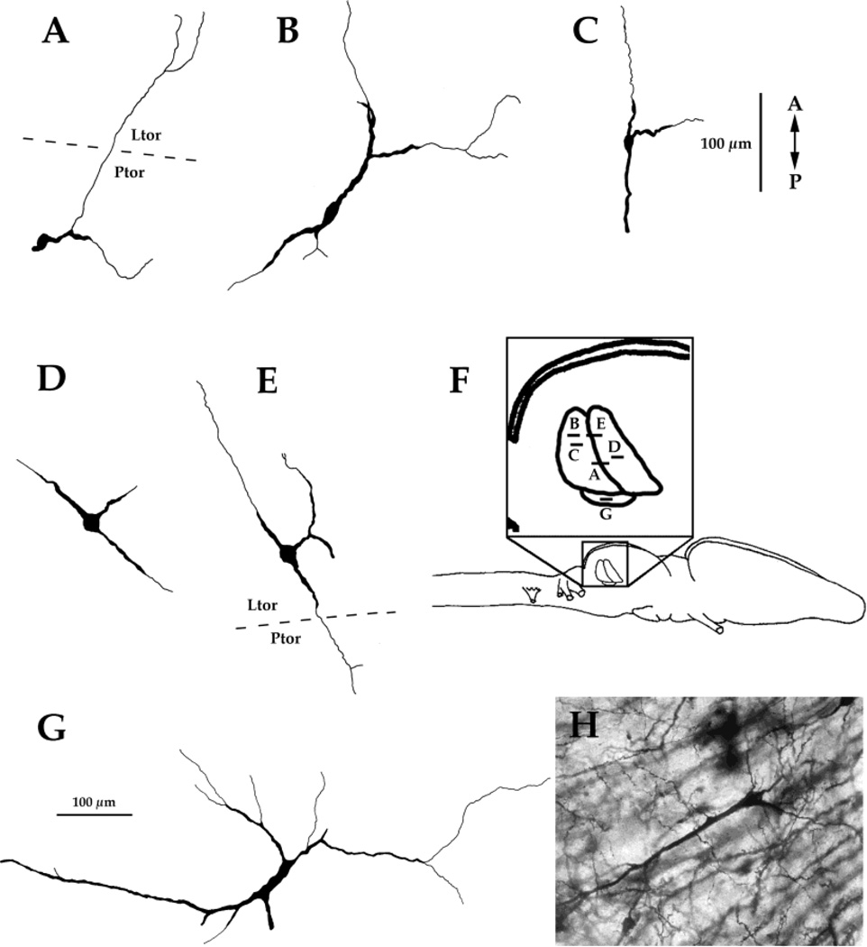 Fig. 9