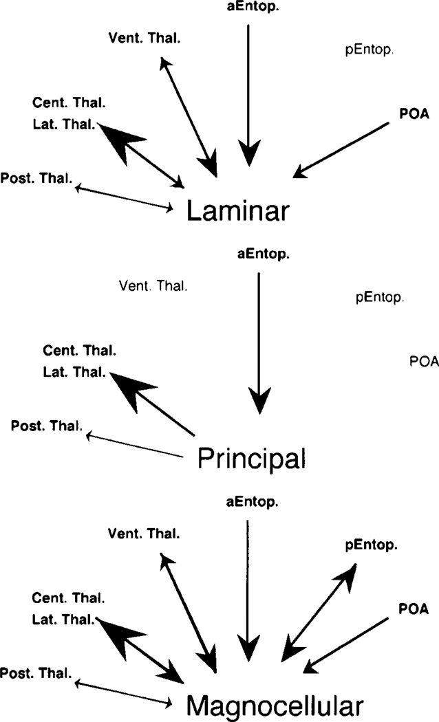 Fig. 11