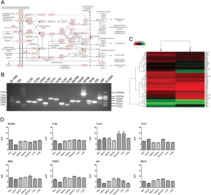 Figure 4.