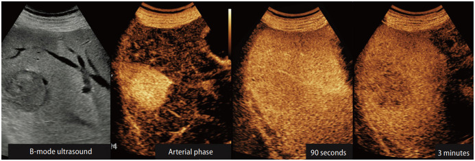 Fig. 5