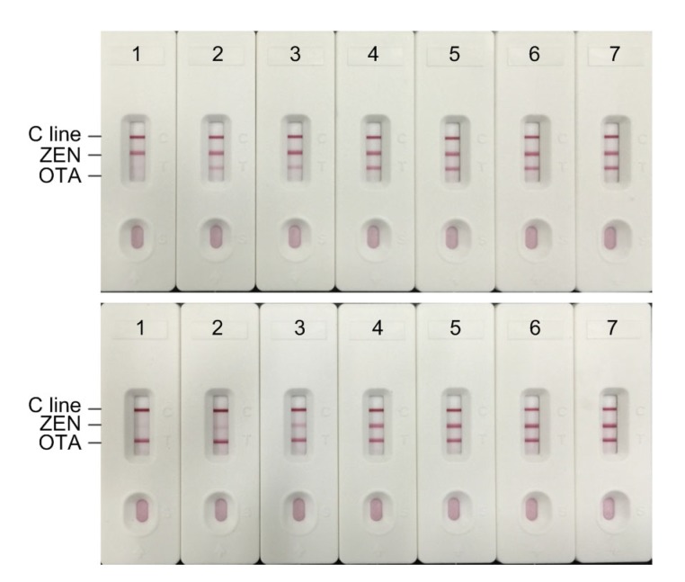 Fig. 4