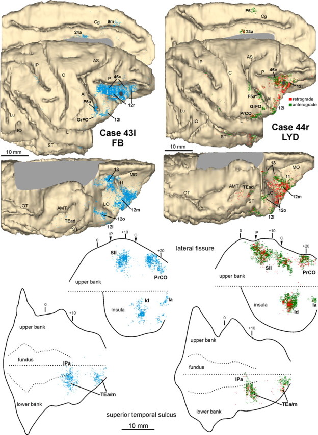 Figure 3.