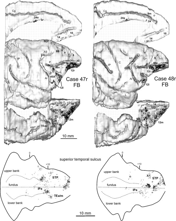 Figure 7.