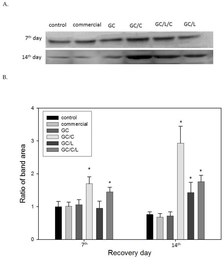 Figure 9