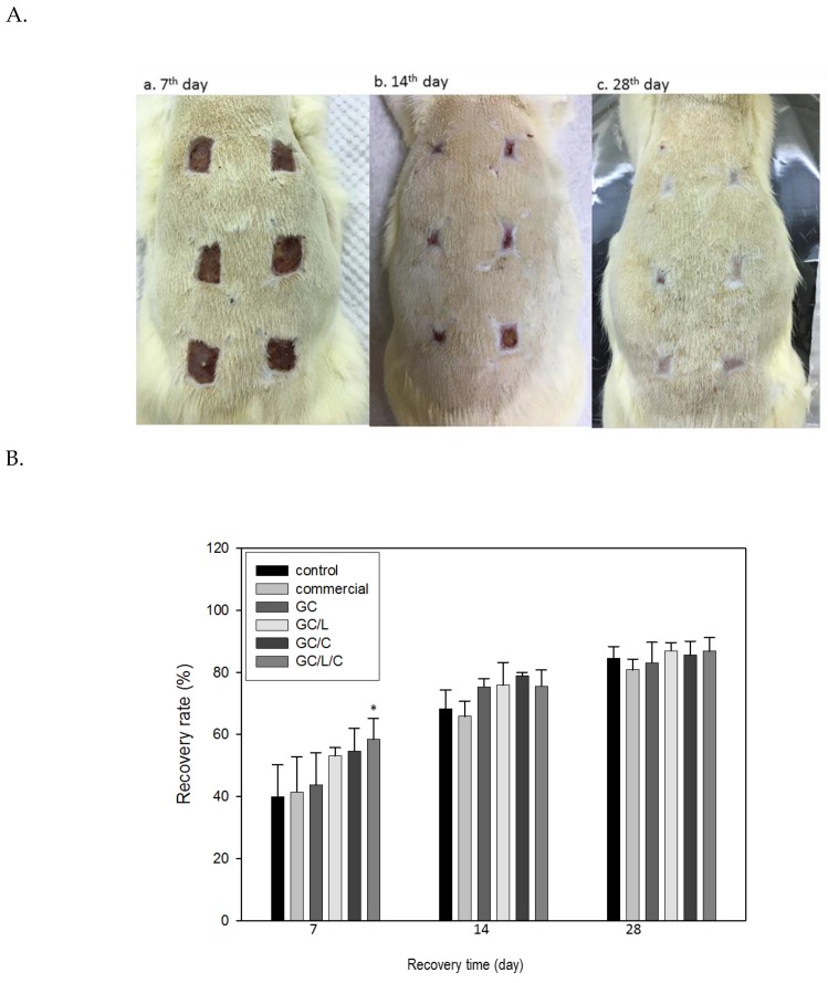 Figure 7