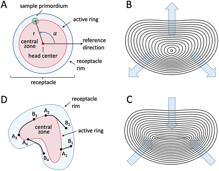 Fig. 3.