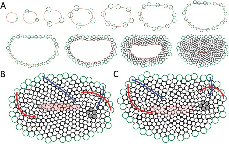 Fig. 4.