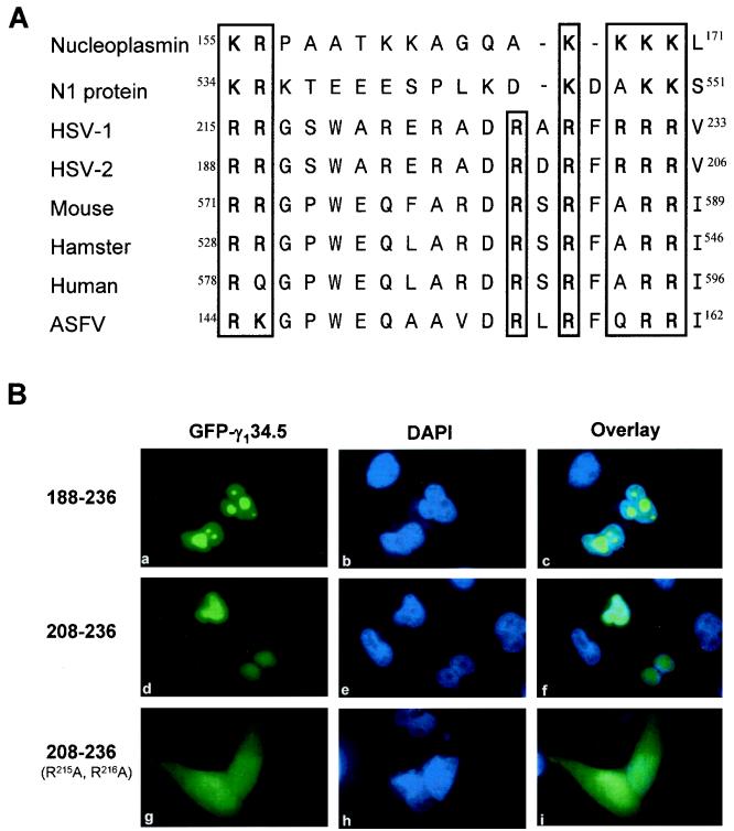 FIG. 6.