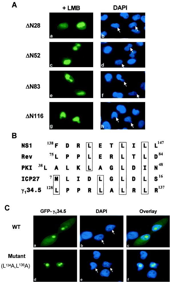 FIG. 8.