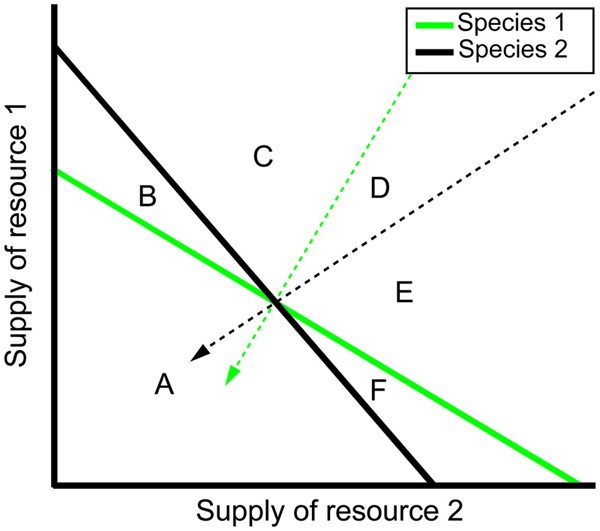 Box 1. The predictions of resource consumer competition models can be graphically represented and interpreted using two-dimensional plots in which the graphical axes represent concentrations of the two resources for which the competitors compete.