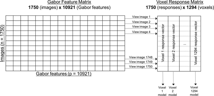 Figure 10: