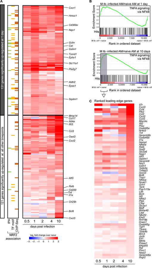 Figure 4: