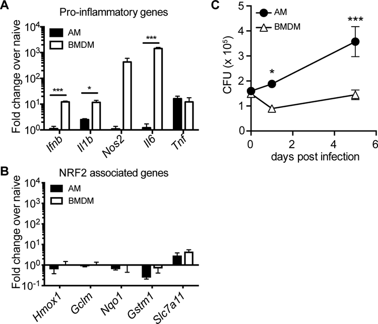 Figure 6: