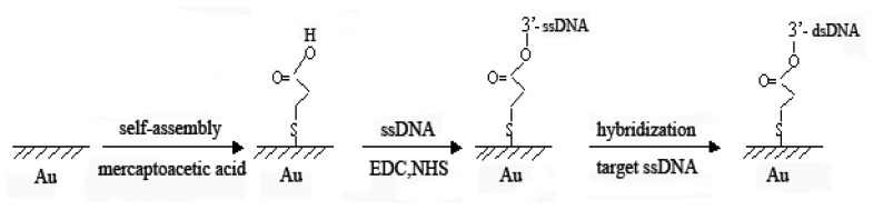 Scheme 1.