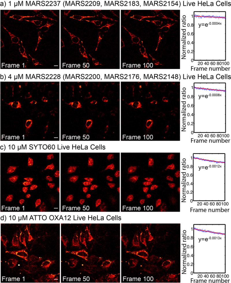 Extended Data Fig. 6