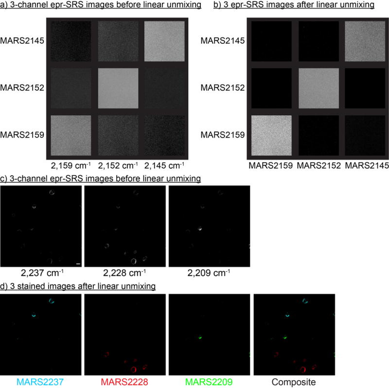 Extended Data Fig. 7