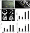 Fig. 9