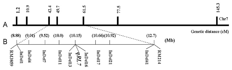 Fig. 5