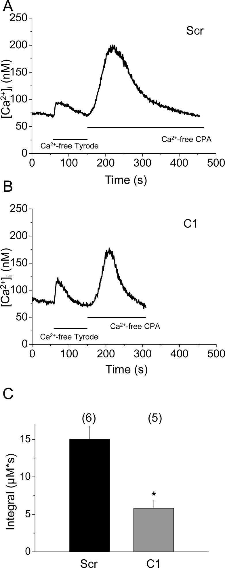 Fig 6