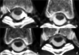 F<sc>ig</sc> 2.