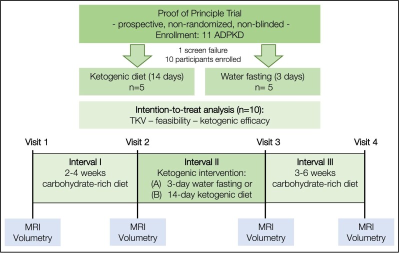 Figure 1: