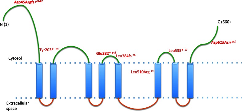 Fig. 2