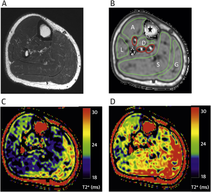 Figure 2