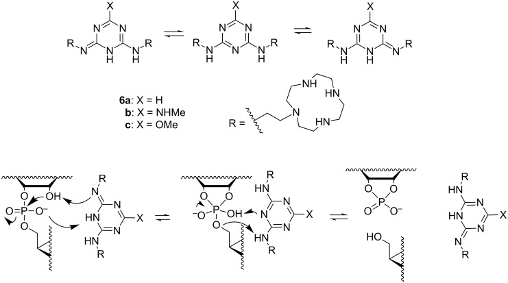 Scheme 7