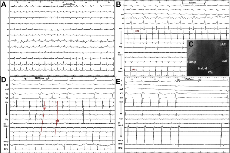 Figure 1