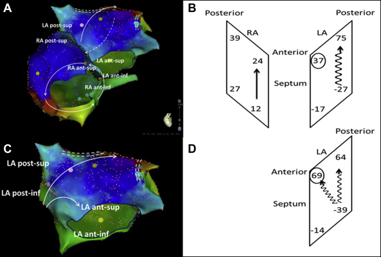 Figure 3