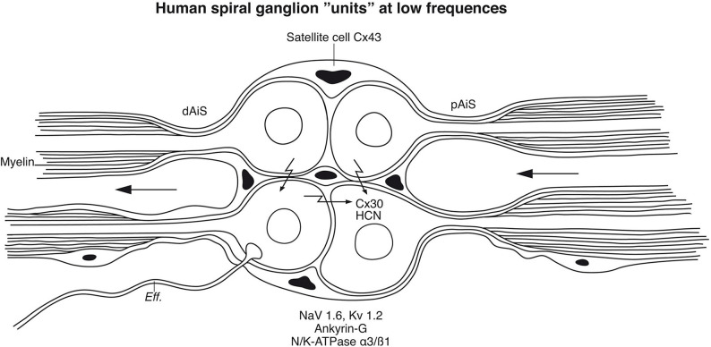 Figure 15