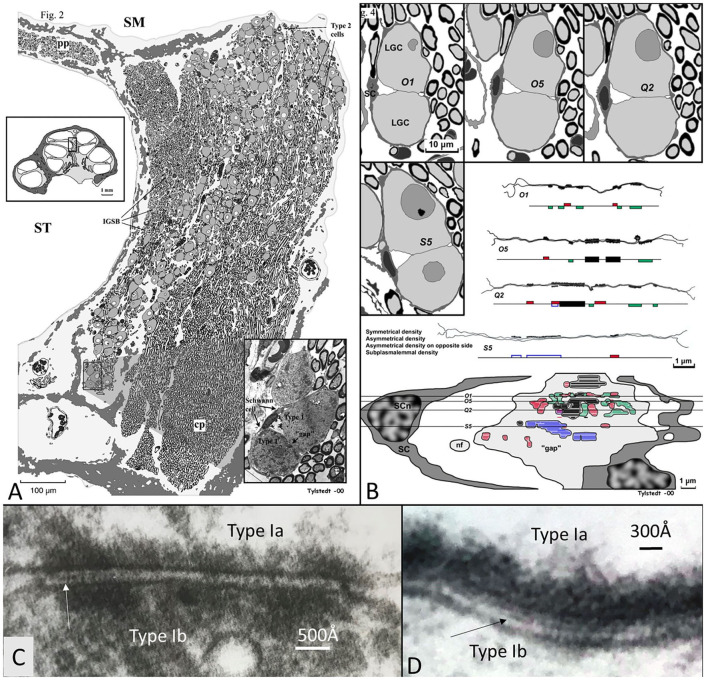 Figure 14