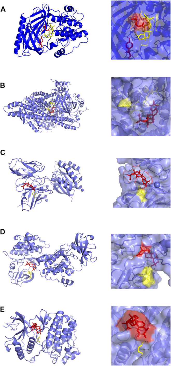 FIGURE 6