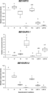 Figure 6