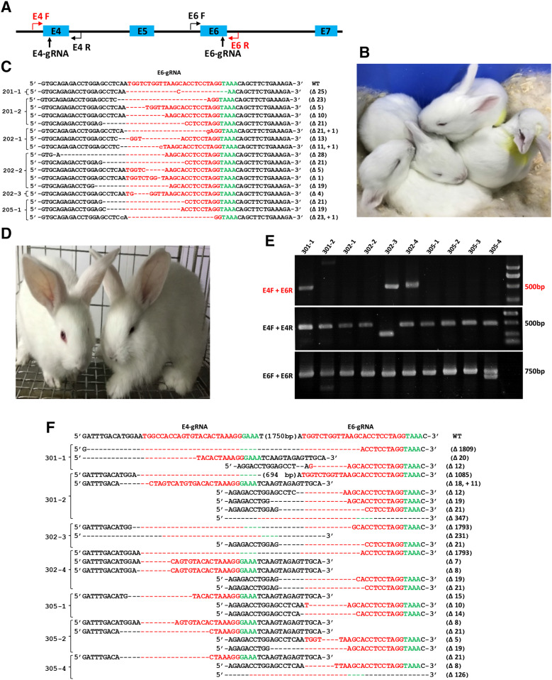 Fig. 3