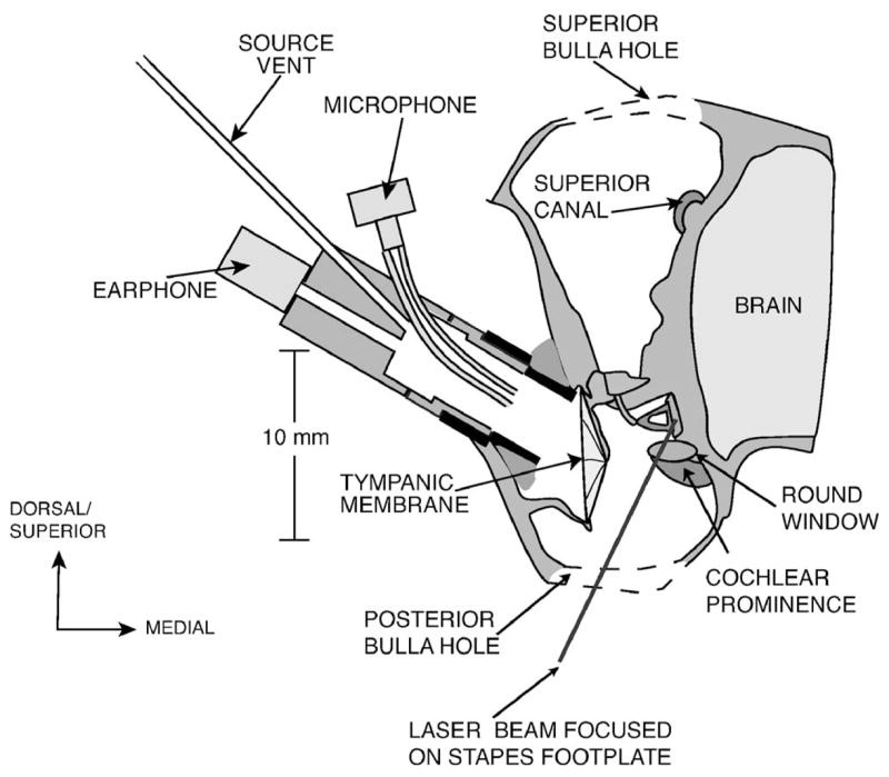 FIG. 1