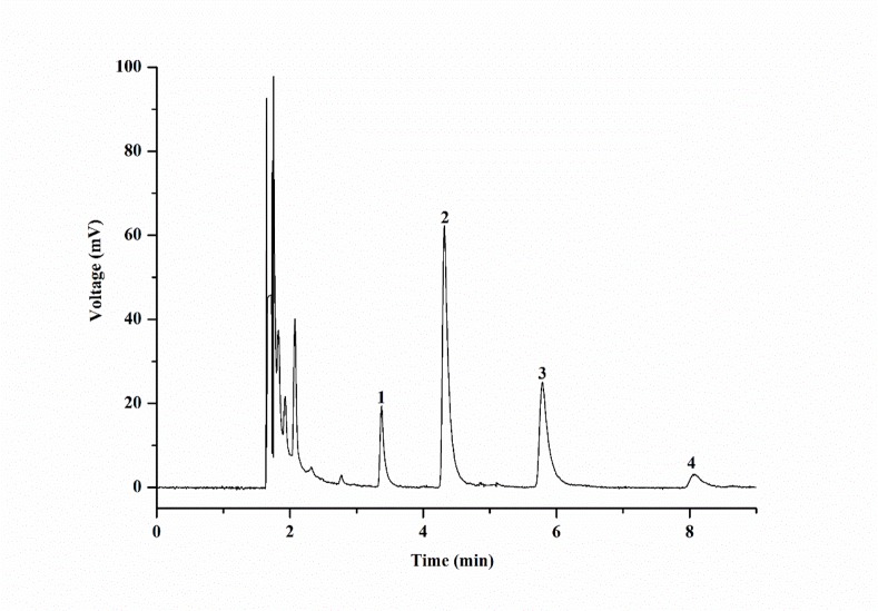 Fig 5