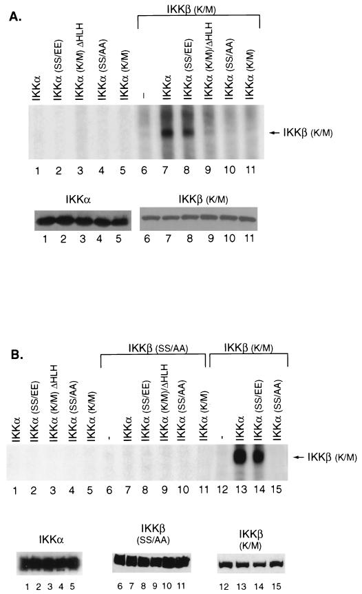 FIG. 6