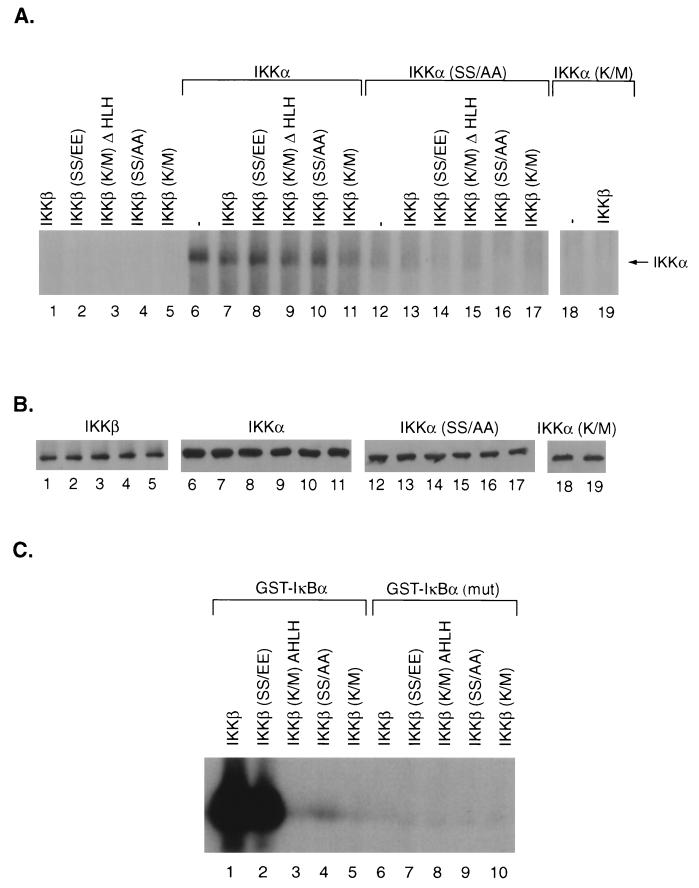 FIG. 7