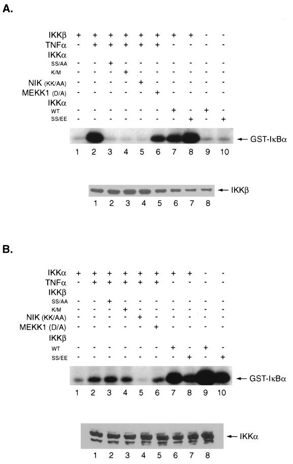 FIG. 5