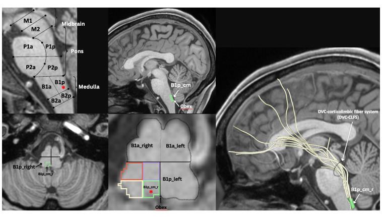 Figure 3