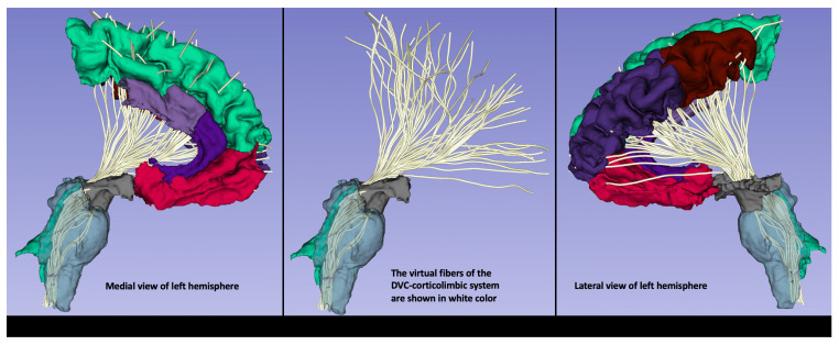 Figure 4