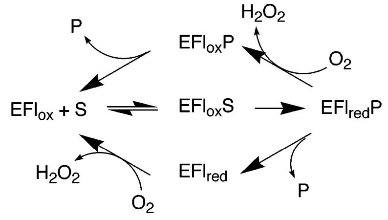 Scheme 5