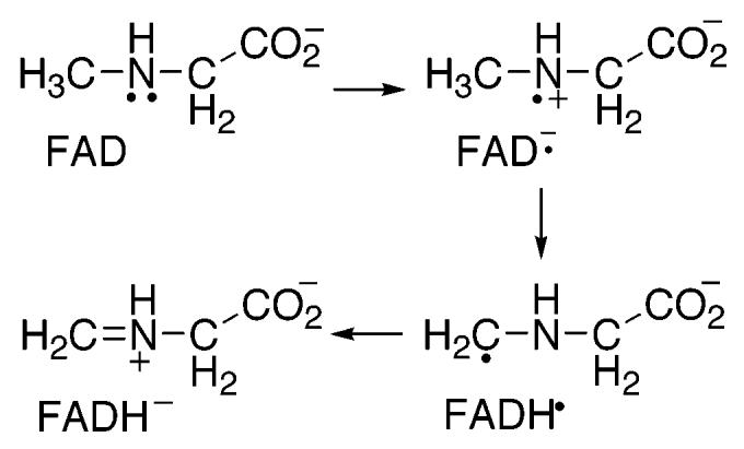 Scheme 2