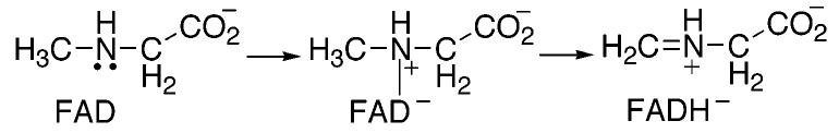 Scheme 4