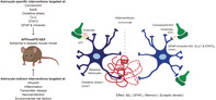 graphic file with name GLIA-69-1852-g002.jpg